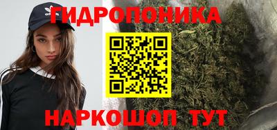 соль ск Гагарин