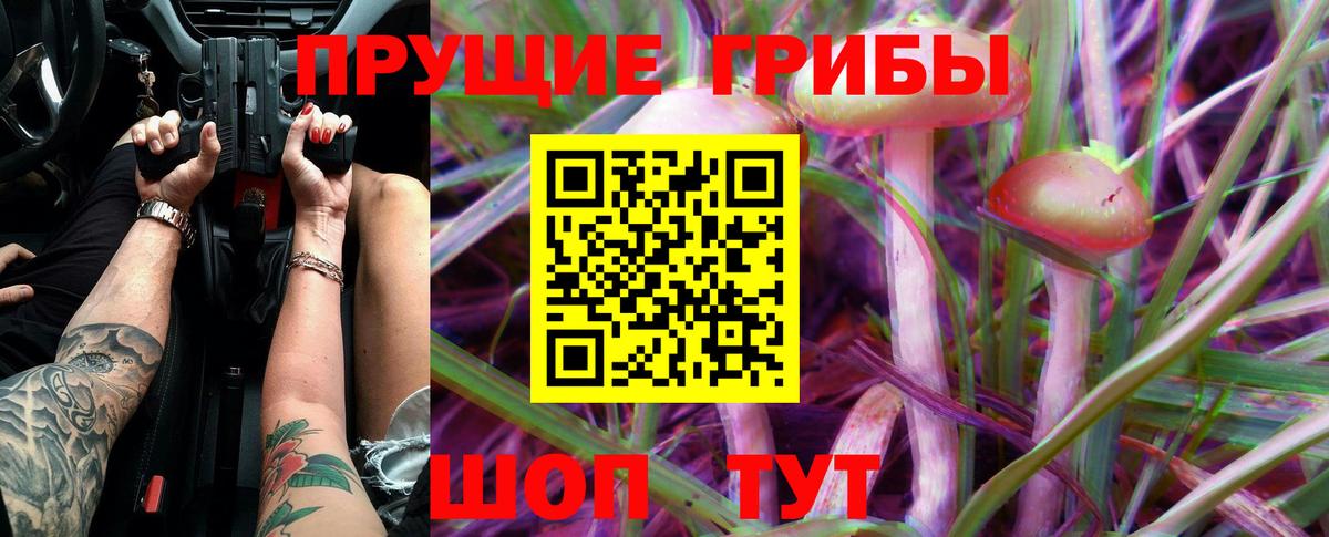 сколько стоит  Псилоцибиновые грибы прущие грибы  Вход с VPN  Волоколамск 