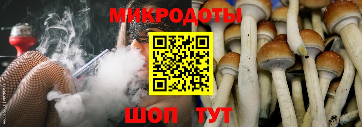 Галлюциногенные грибы мухоморы Волоколамск